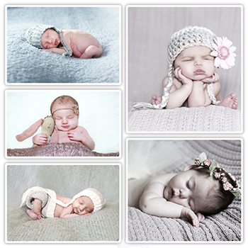 Collage of Newborn Photography sessions